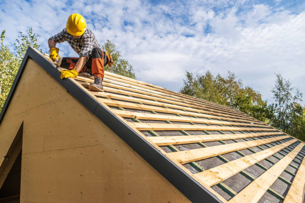Best Emergency Roof Repair  in Sutton Alpine, AK